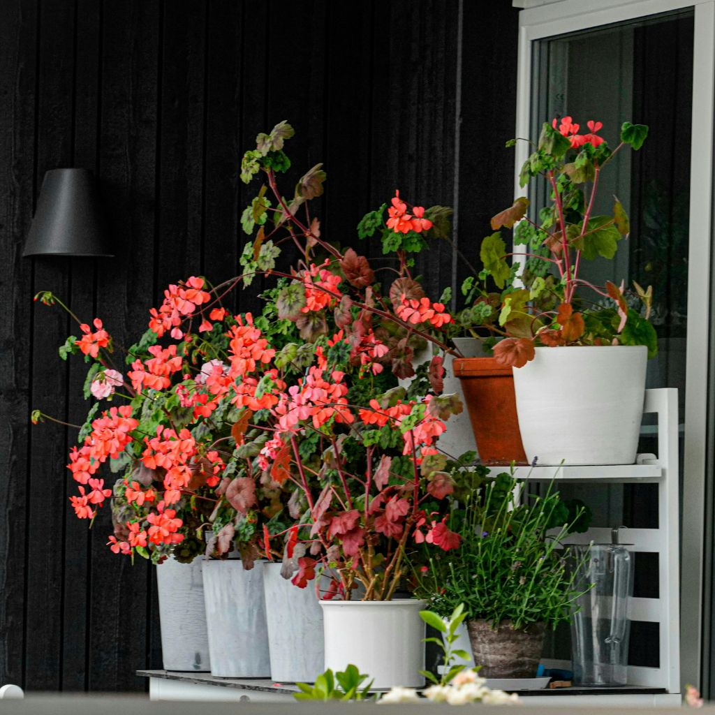 Návrh bez názvu - 2026-03-11T183351.144